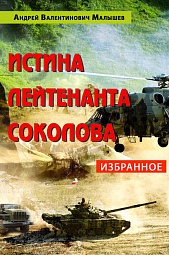 Истина лейтенанта Соколова Малышев Андрей